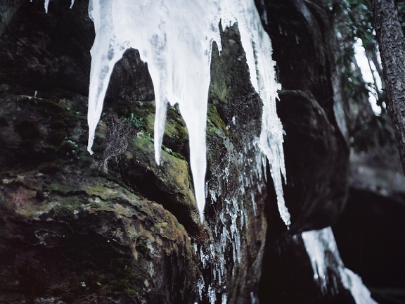 Ice on the Sheltowee Trace